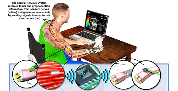 20150208-619-460-haptix.jpg DARPA’s Hand Proprioception and Touch Interfaces (HAPTIX) program aims to develop fully implantable, modular and reconfigurable neural-interface systems that would enable intuitive, dexterous control of advanced upper-limb prosthetic devices. In a