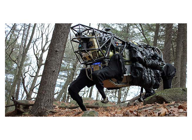 LS3 Pack Mule