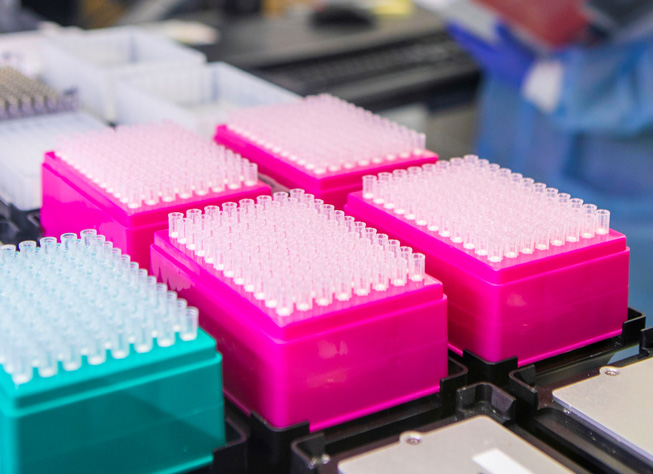 In 2017, DARPA initiated the Pandemic Prevention Platform (P3) program aimed squarely at the rapid discovery, testing, and manufacture of antibody treatments to fight any emerging disease threat.
