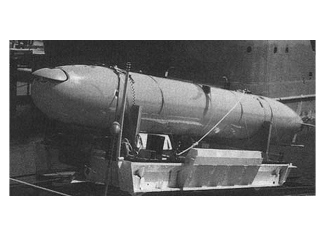 Unmanned Undersea Vehicle