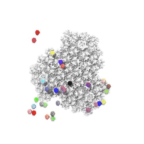 Binding of chemokine proteins on surface of the SARS-CoV2 ChAdOX vaccine vector.