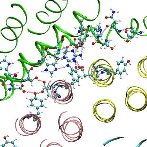 Proton-motive force driven coupled rotation in integral-membrane molecular motors.