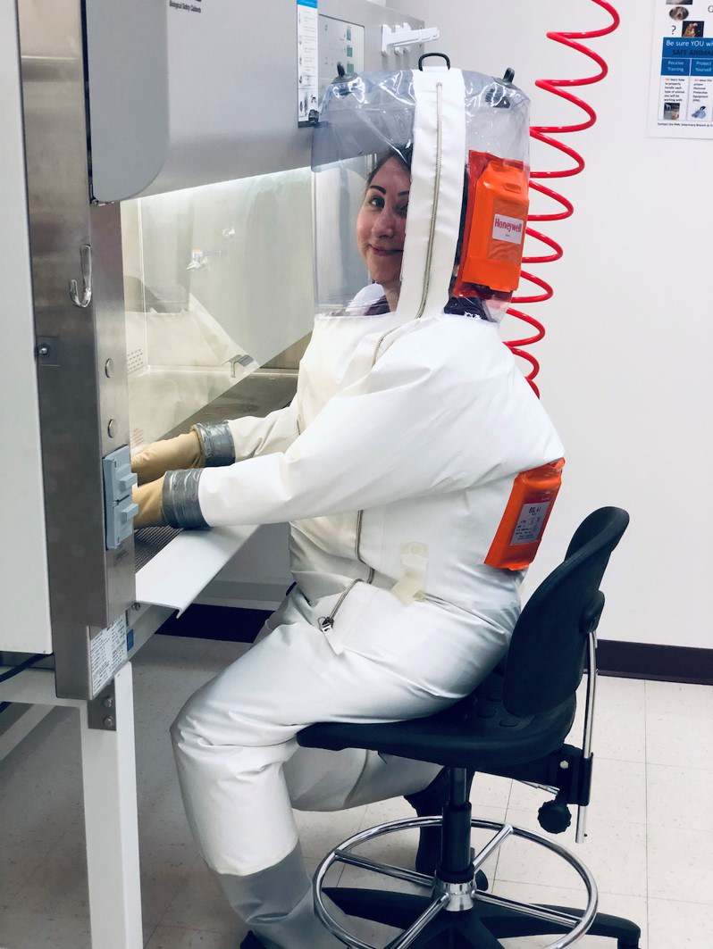 DARPA Researcher Stephanie Seifert at RML Investigating Zoonotic Diseases