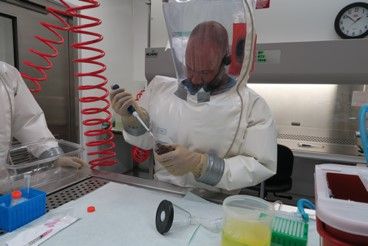 DARPA Researcher Vincent Munster at RML Developing Challenge Models for Novel Viruses