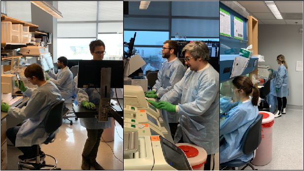 DARPA Researchers at Vanderbilt Investigating C-19 Antibodies