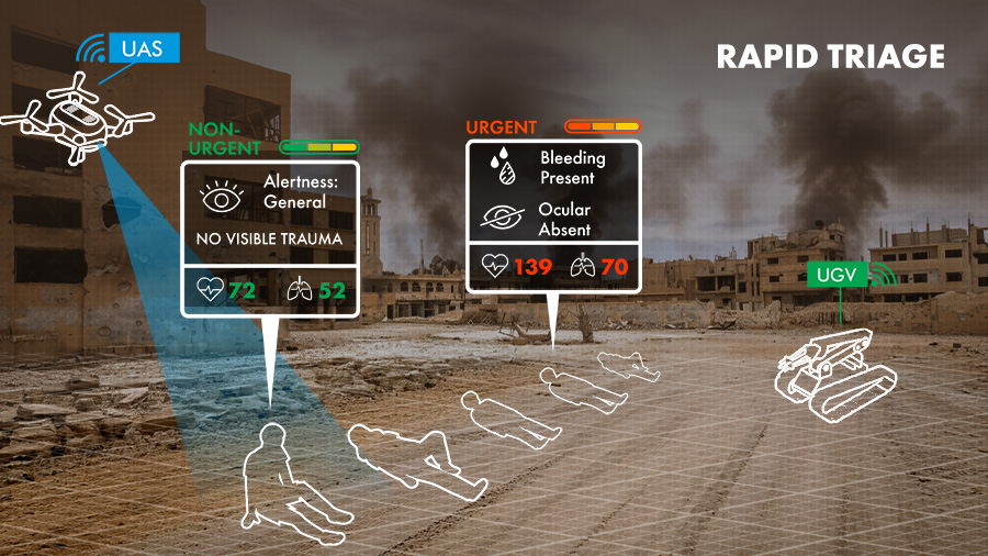 Gate 2: Rapid triage