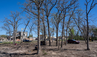 Tree line navigation