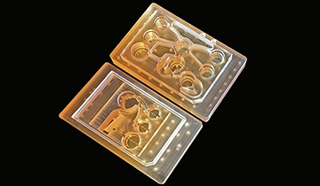 Microphysiological Systems