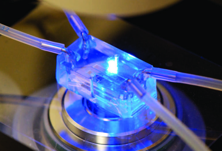 An organ-on-chip module developed by the Wyss Institute undergoes testing.