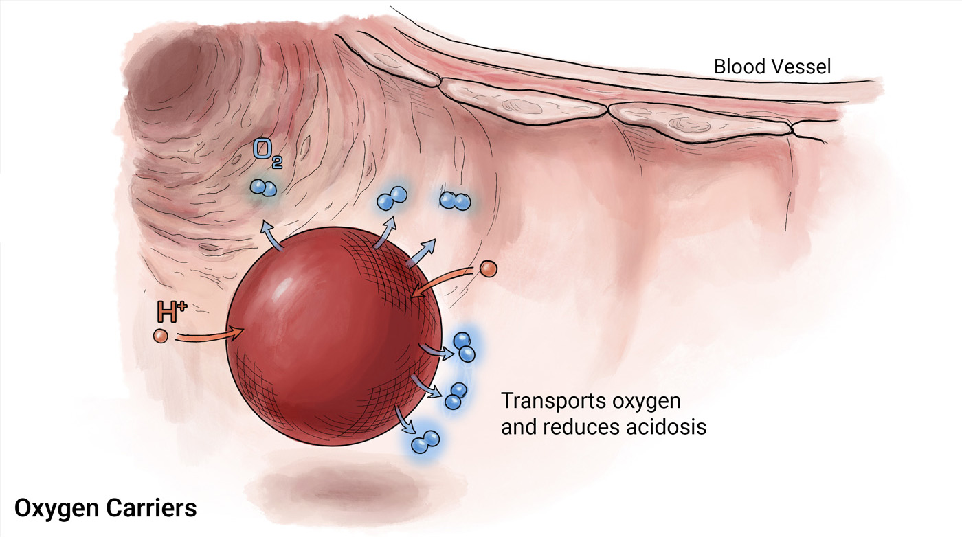 A synthetic oxygen carrier transporting oxygen and reducing acidosis within a simulated blood vessel in support of the DARPA RAPIID program.