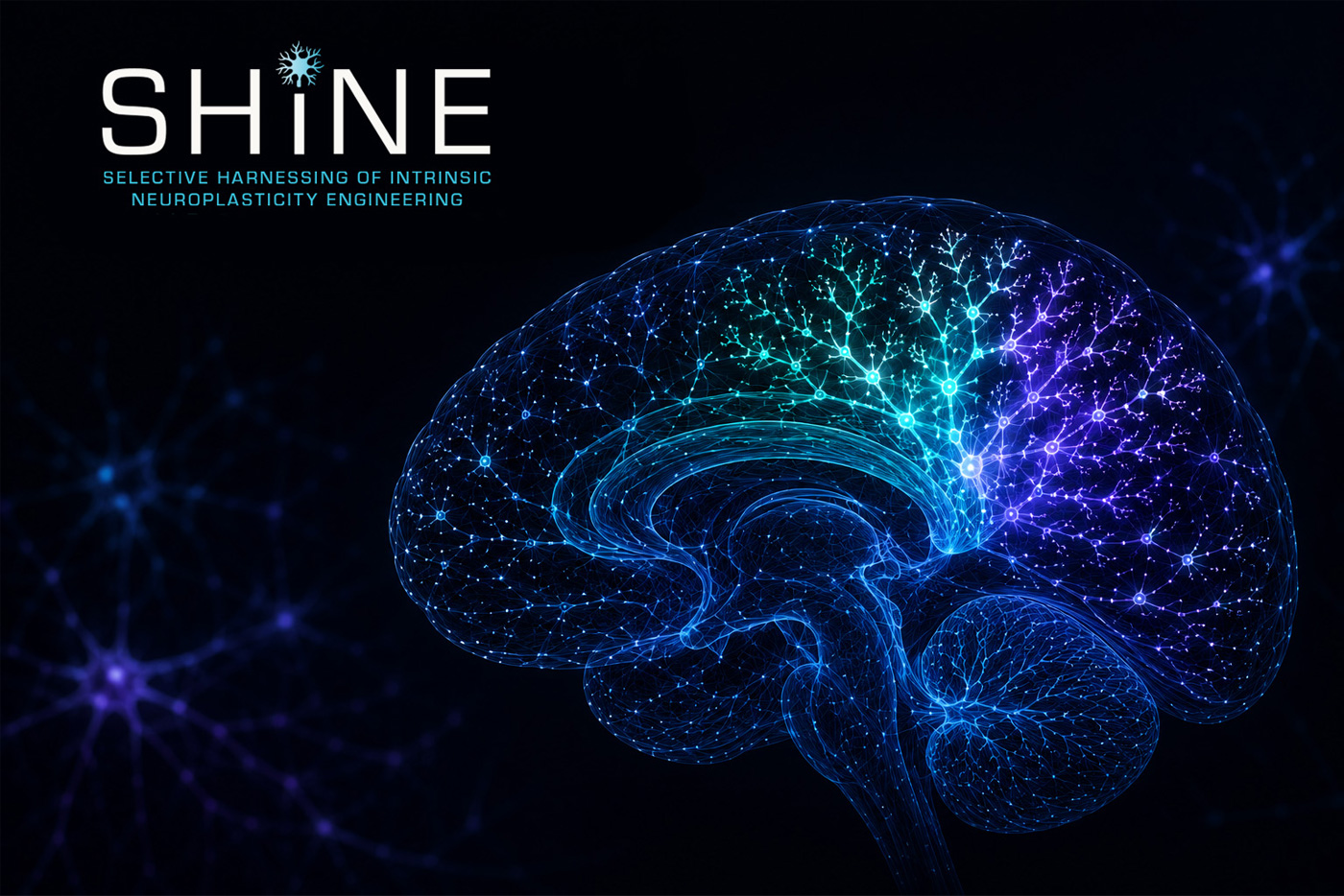 SHINE program logo