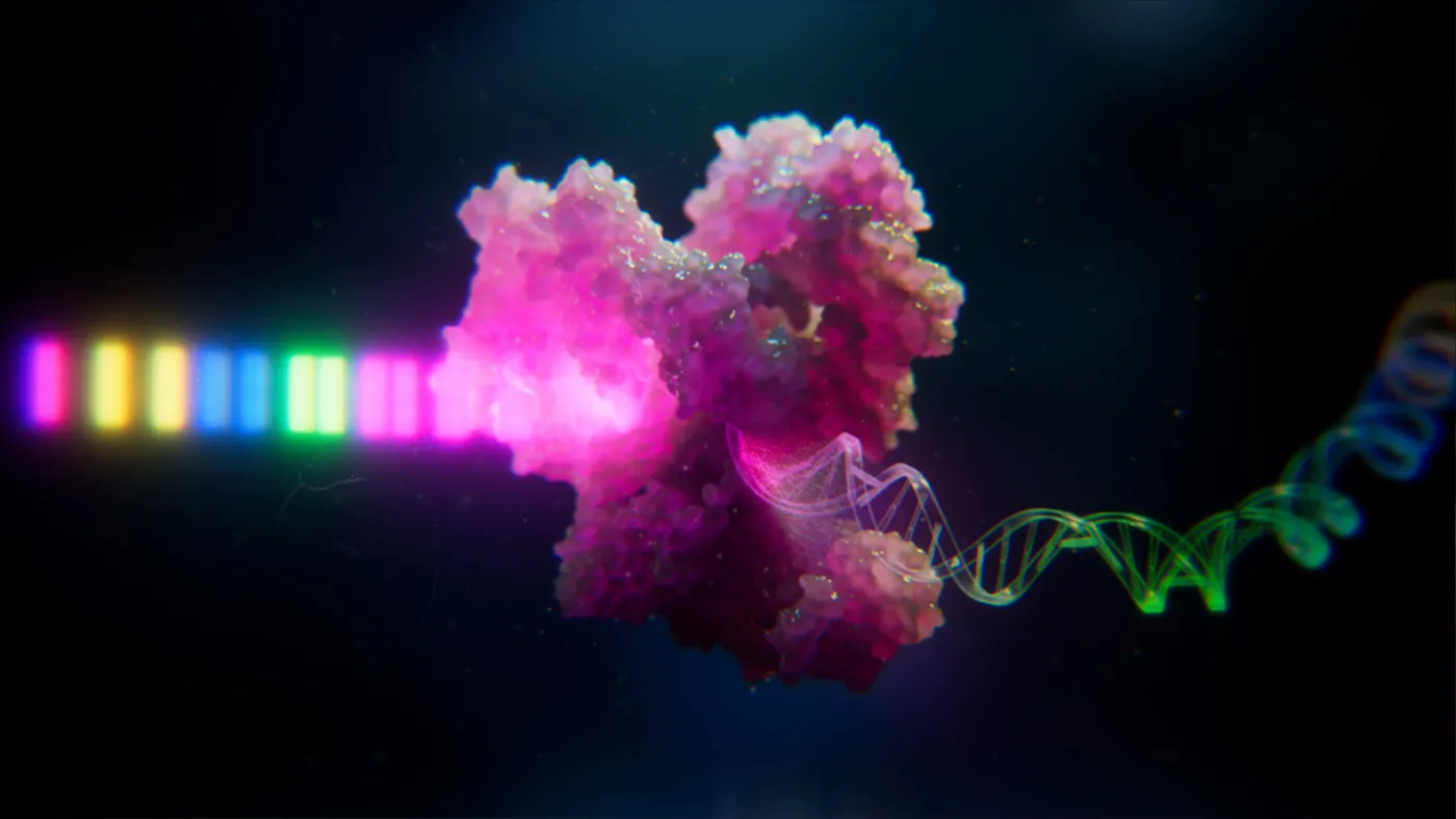 Artist’s concept demonstrating the use of light to direct the synthesis of DNA and RNA directly within living cells. 